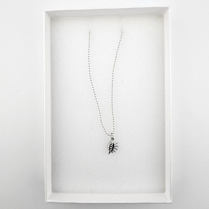 Sterling silver conch shell necklace presented in white gift packaging.